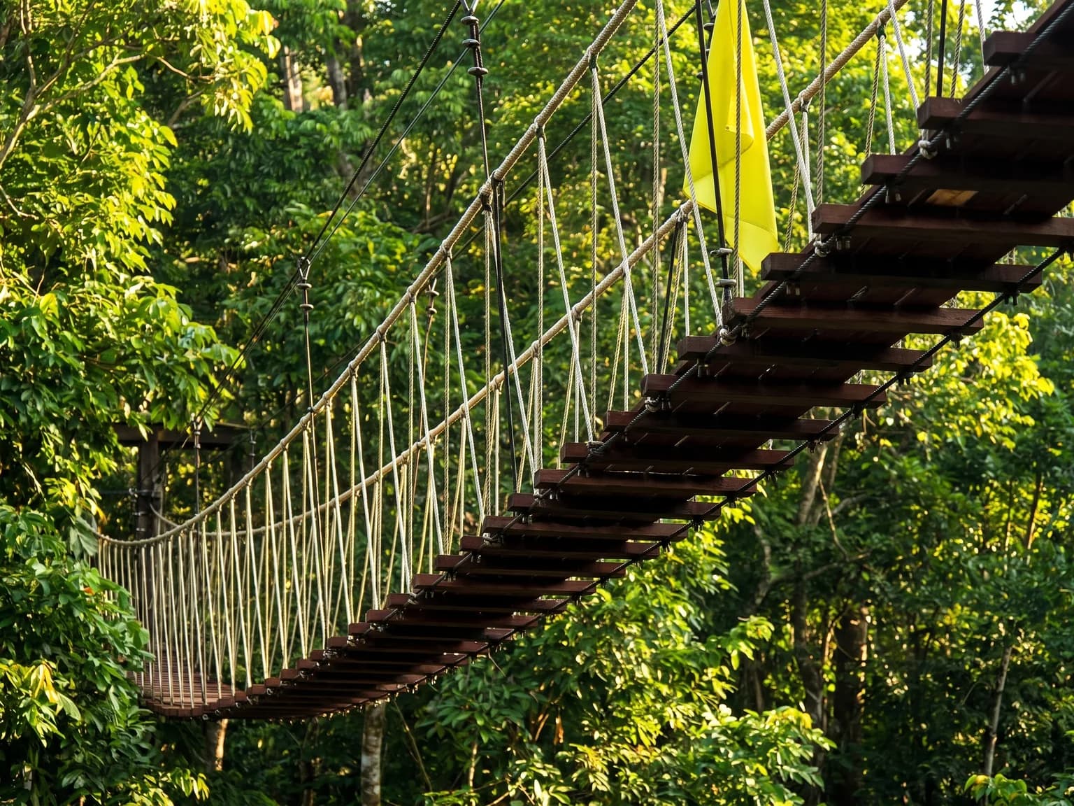 Empty bridge fragment crossing a sunlit tropical canopy view