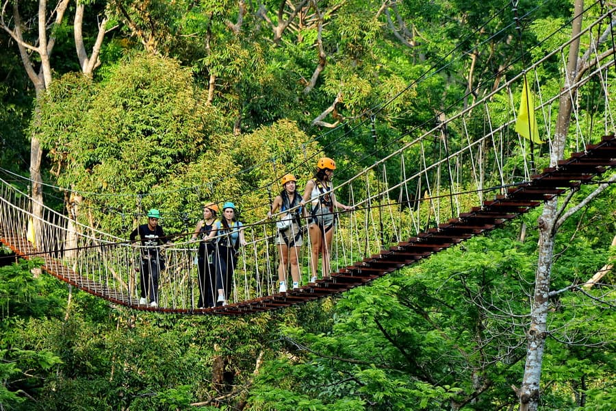 Zipline Adventure