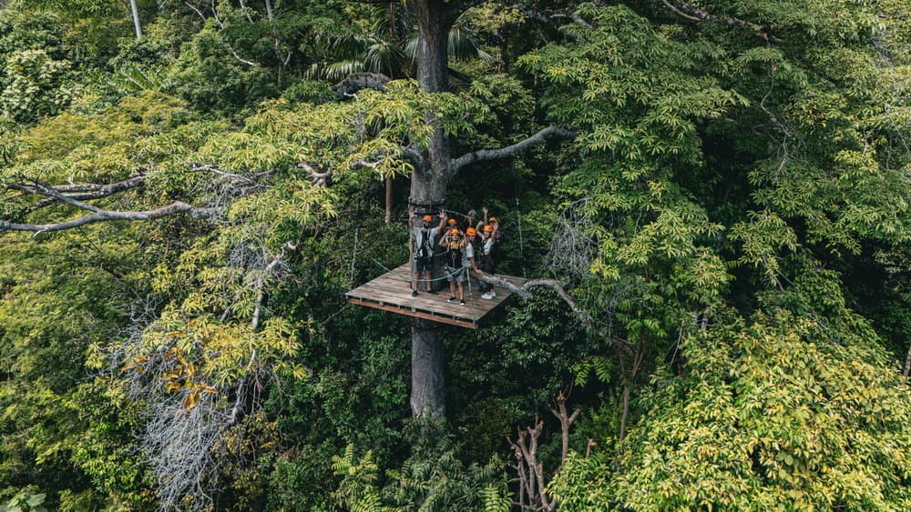 Zipline Adventure