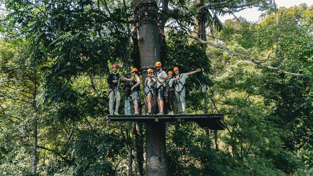 Thrilling Heights