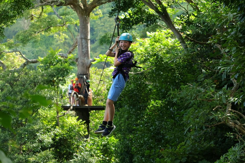 Jungle Experience