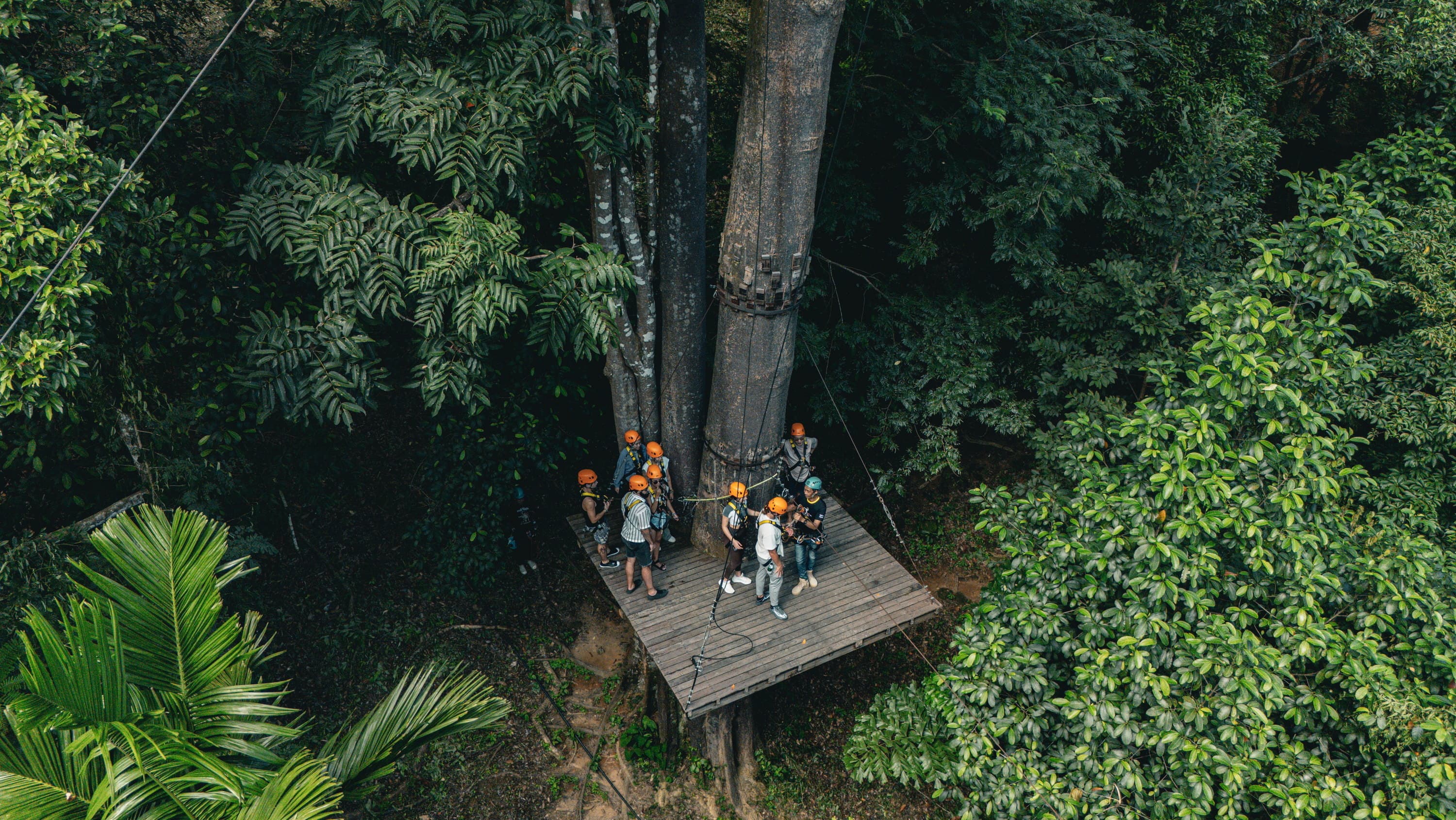 Zipline Adventure