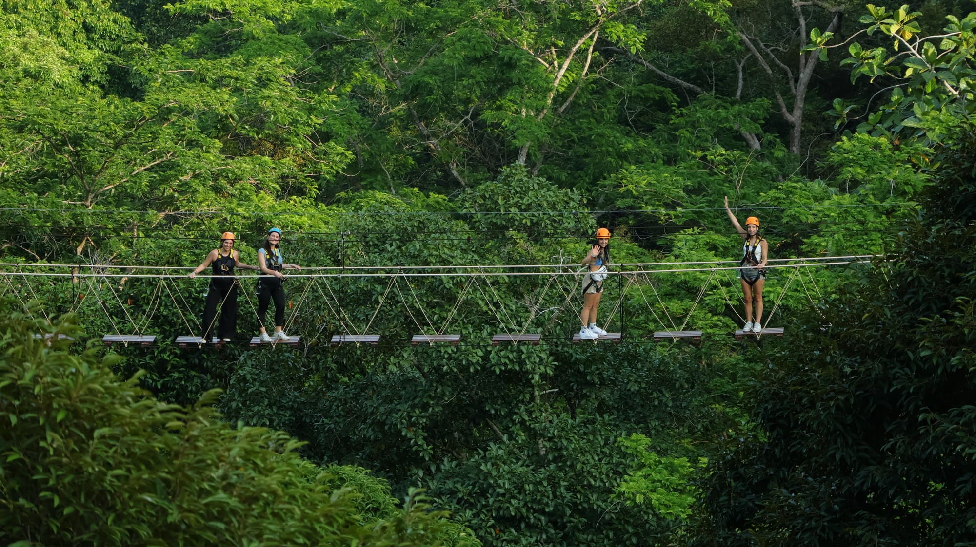 Canopy