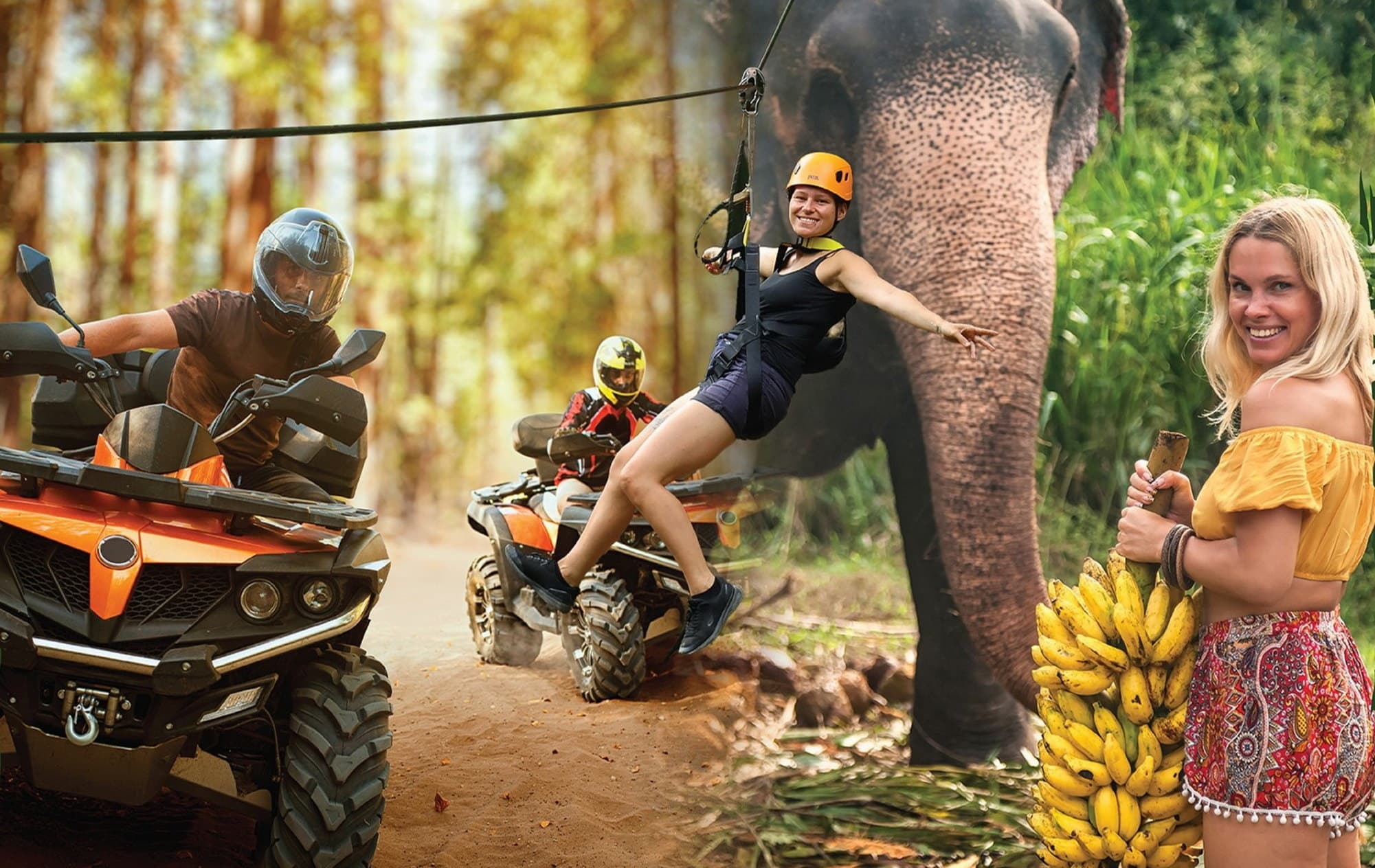 SD5: FH3 + ATV 30 mins + Elephant Feeding