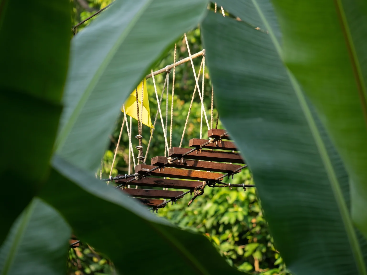 Short empty bridge fragment seen through tropical leaves