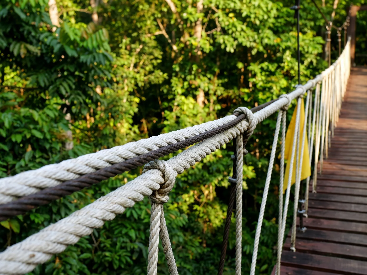 Rope-side texture and wooden treads of an empty bridge fragment