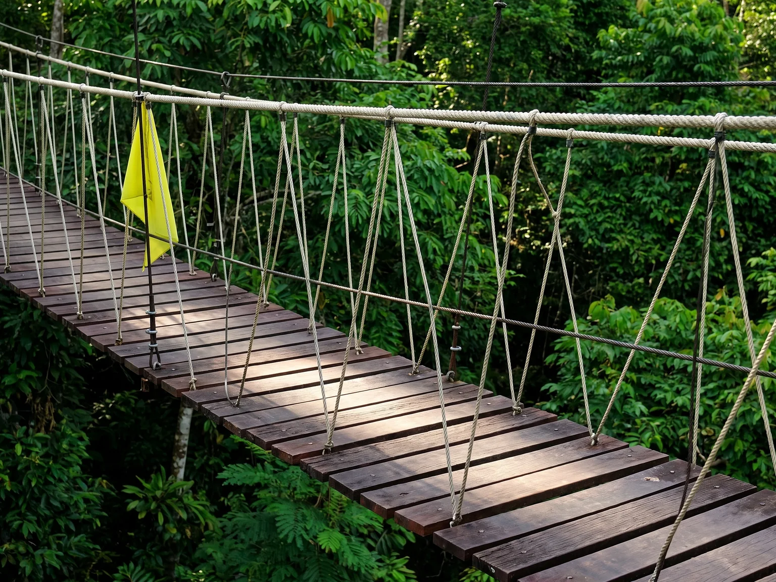 Empty short wooden bridge segment among tropical leaves