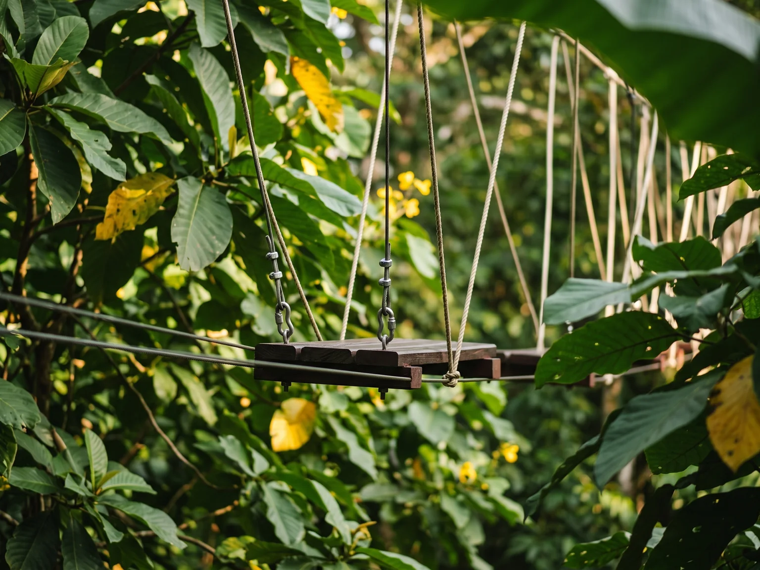 Empty wooden step fragment framed by broad tropical leaves